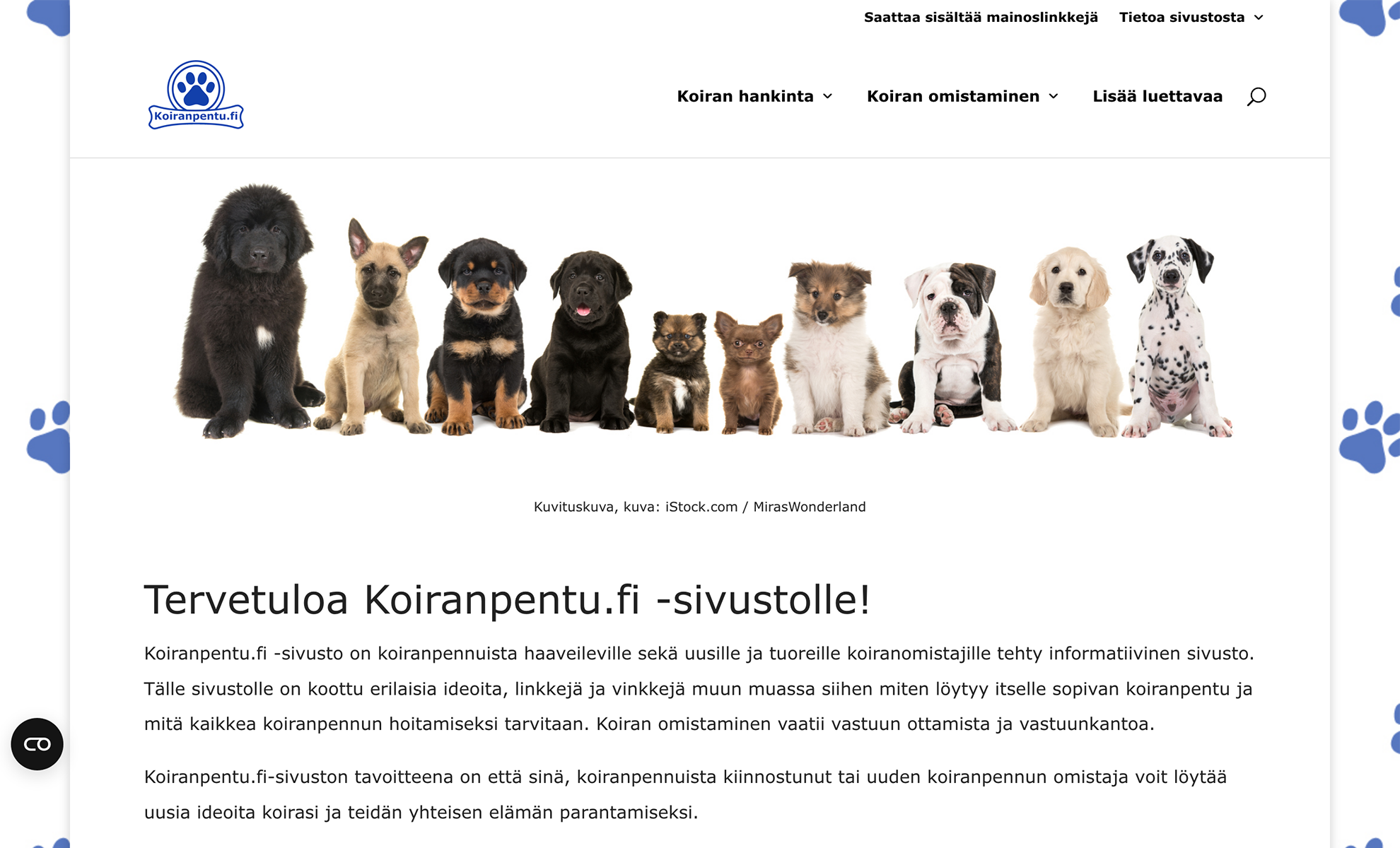 Koiranpentu.fi esittelee ideoita koiranpennun hankintaan ja omistamiseen